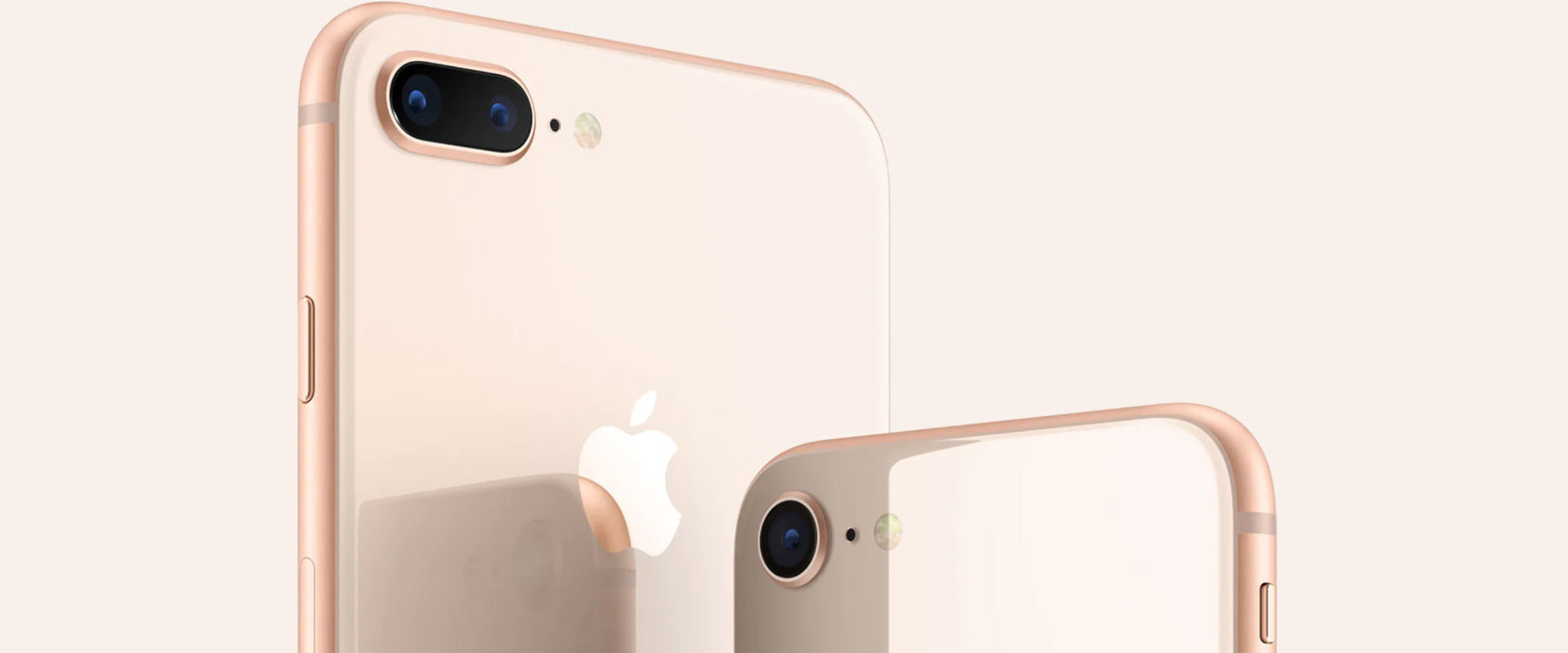 iPhone 8 & iPhone 8 Plus Cases, Covers, Screen Protectors & Cables