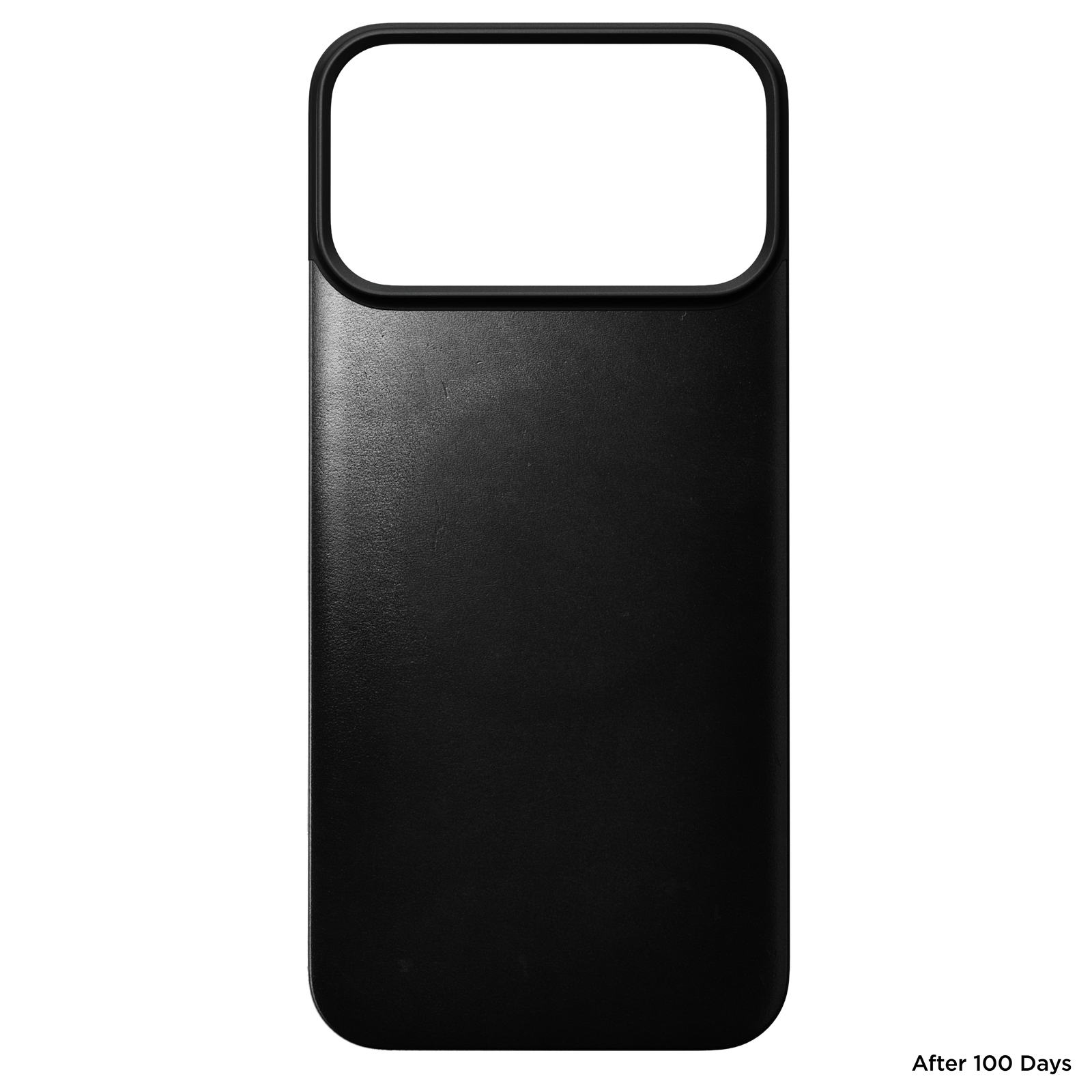 Magnetic Leather Back Case for iPhone 18 Pro Max 6.9 in Black Horween - Nomad