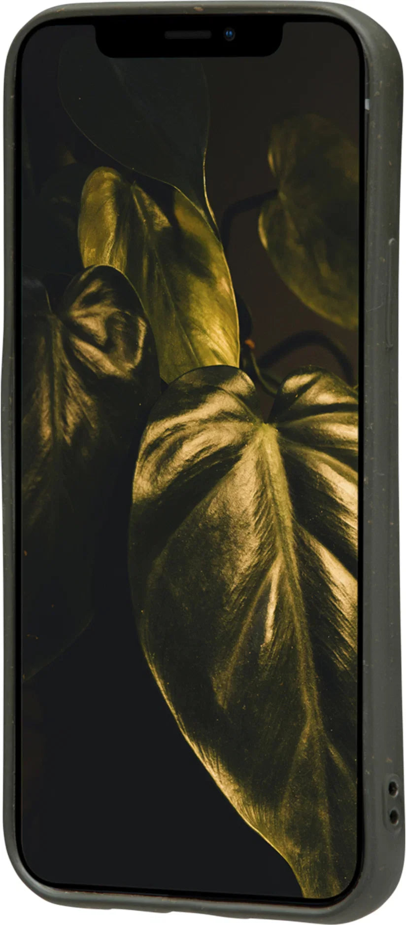 Dbramante1928 Grenen Case iPhone 12 Pro Max - Dark Olive Green