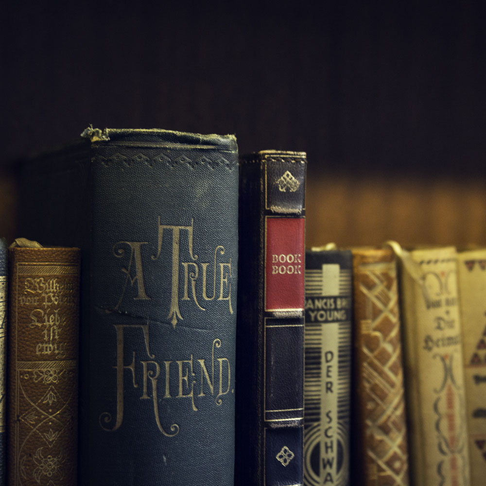 Twelve South BookBook Genuine Leather Folio Case For iPad Mini 5 - Brown